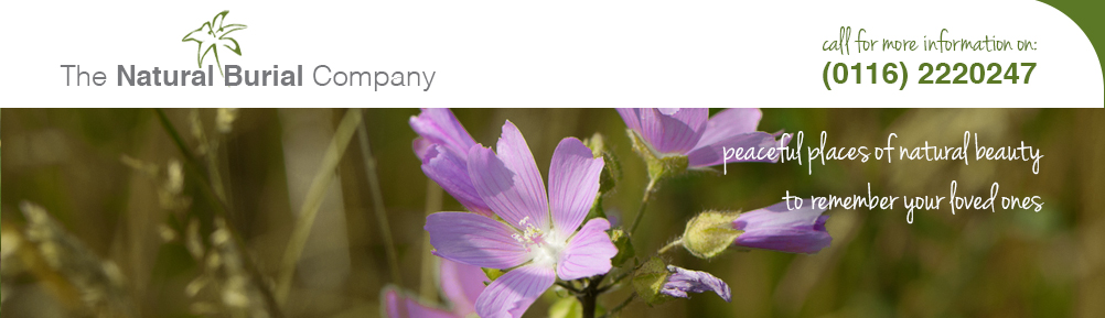 The Natural Burial Company