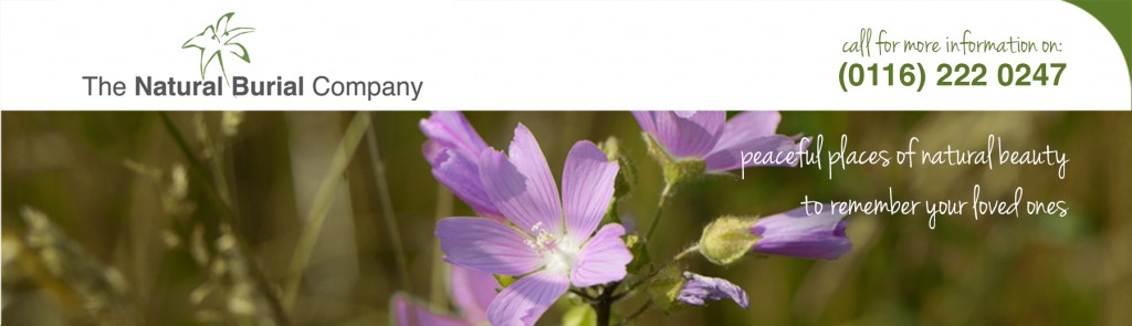 The Natural Burial Company