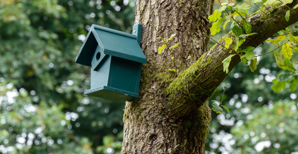Bird Box Memorial